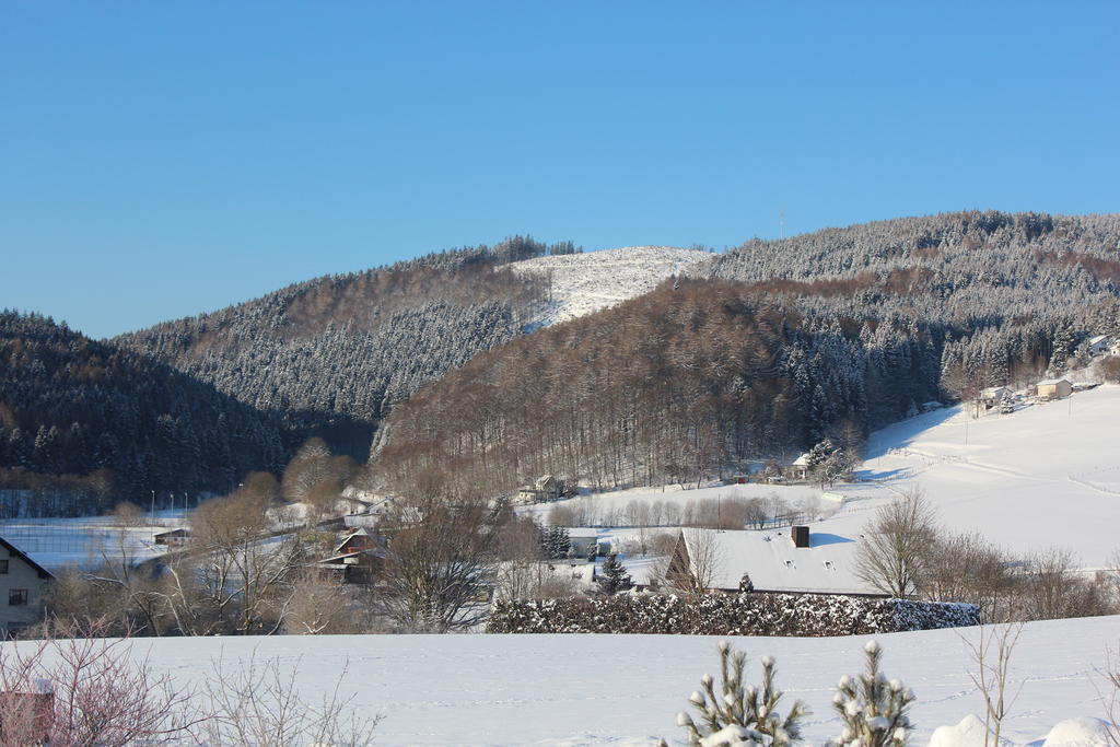 Lejlighed Emde Willingen (Upland)