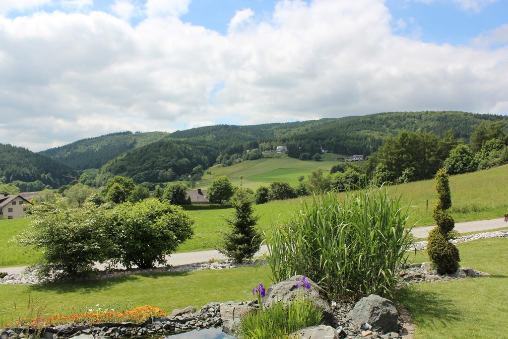 Emde Lejlighed Willingen (Upland)